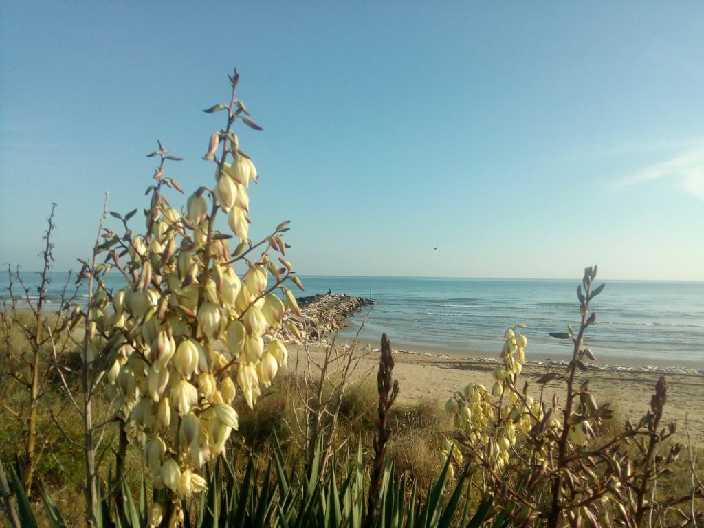 Villa Trifoglio Lido di Jesolo Exterior photo